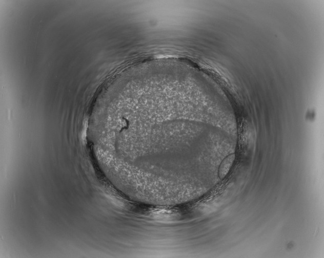 X0000098180315200805221543