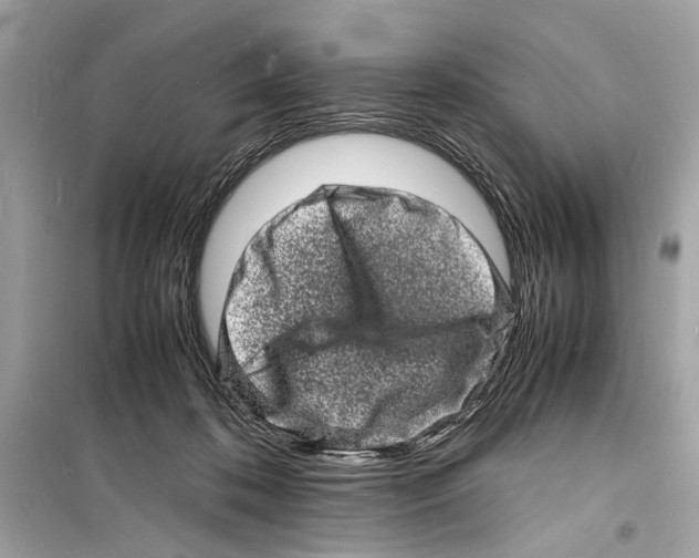 X0000098180316200805221543