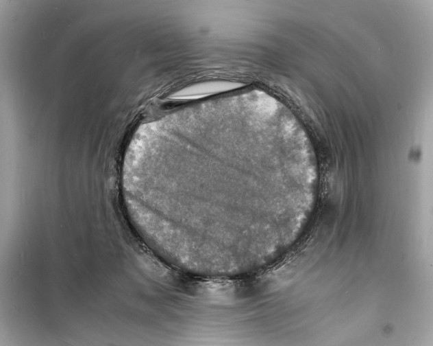 X0000098180317200805221543