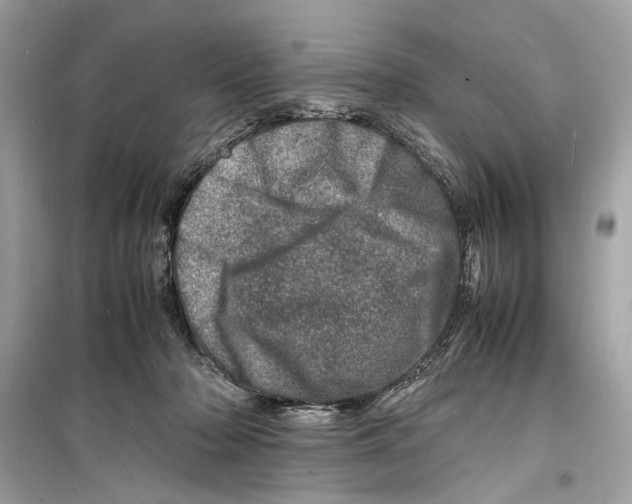 X0000098180318200805221543