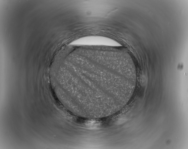 X0000098180319200805221543