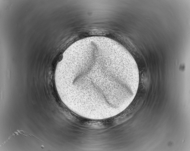 X0000098180322200805221543