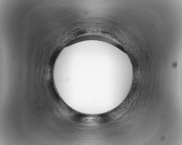 X0000098180323200805221543