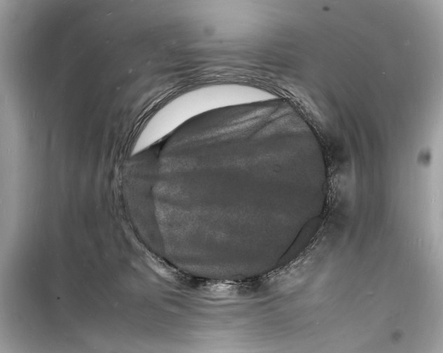 X0000098180325200805221543