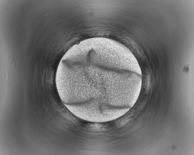 X0000098180326200805221543