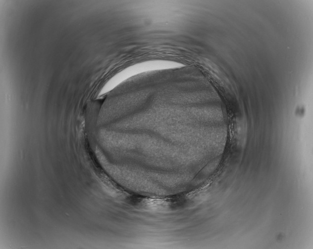 X0000098180327200805221543