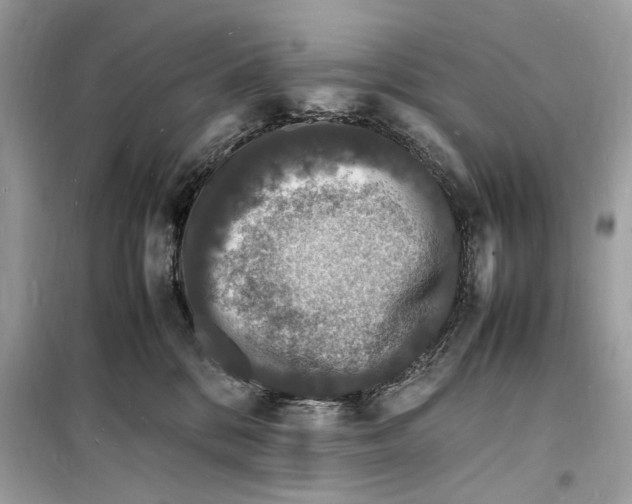 X0000098180328200805221543