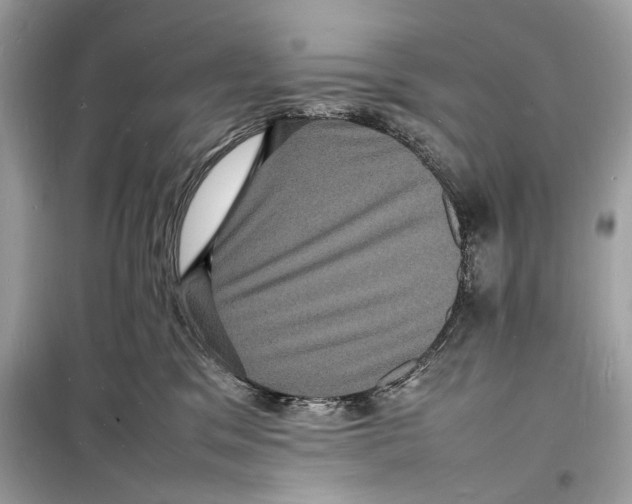 X0000098180329200805221543