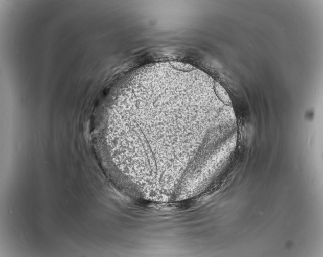 X0000098180331200805221543