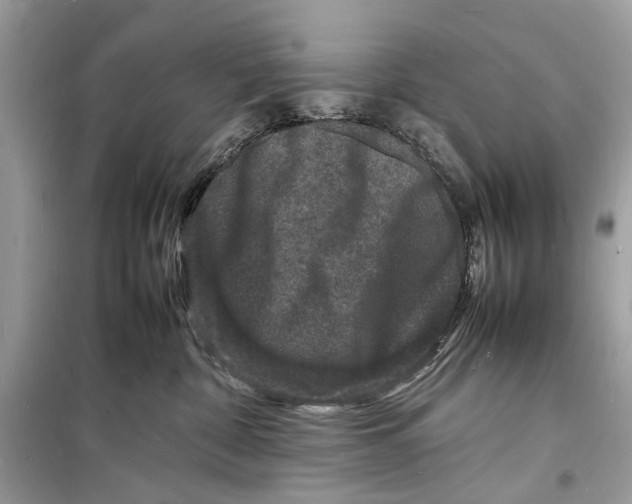 X0000098180332200805221543