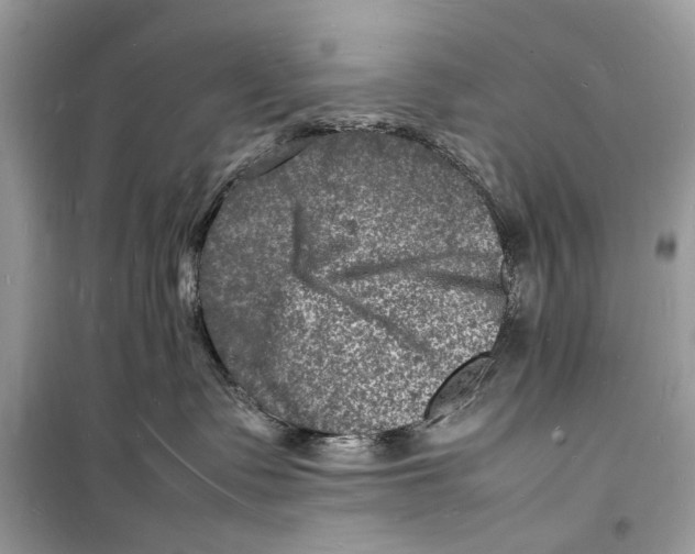 X0000098180335200805221543