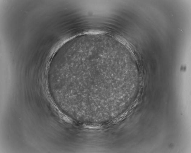 X0000098180337200805221542