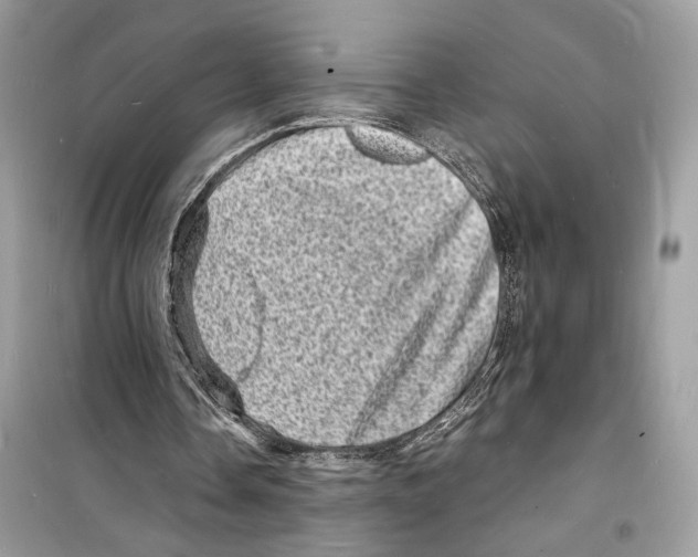 X0000098180338200805221542