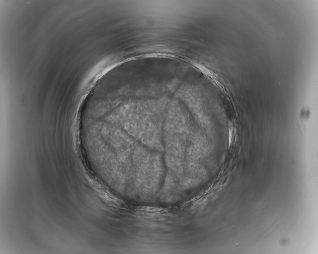 X0000098180339200805221542