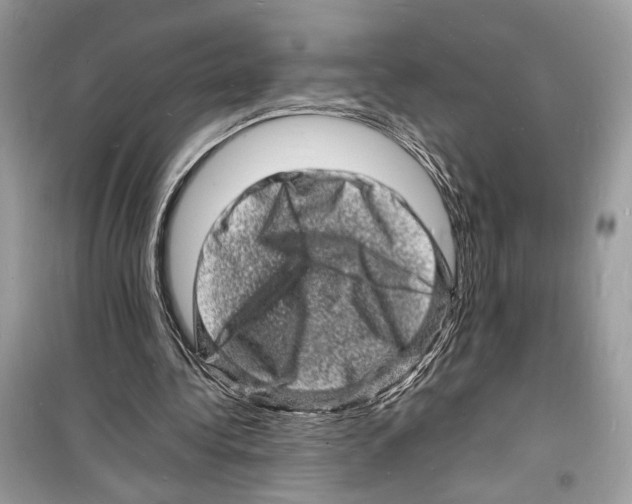 X0000098180340200805221542