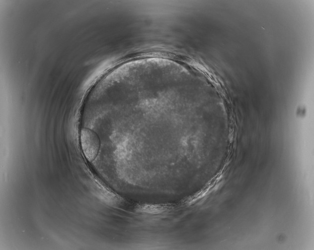 X0000098180341200805221542