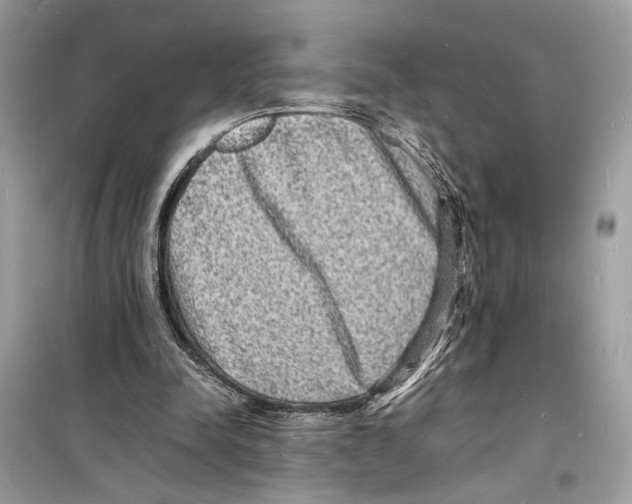 X0000098180342200805221543