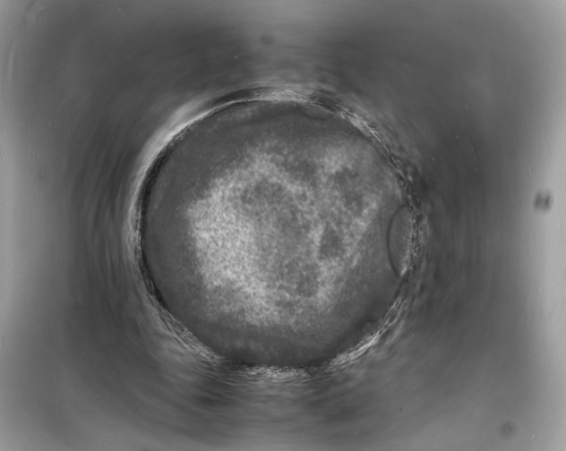 X0000098180343200805221543