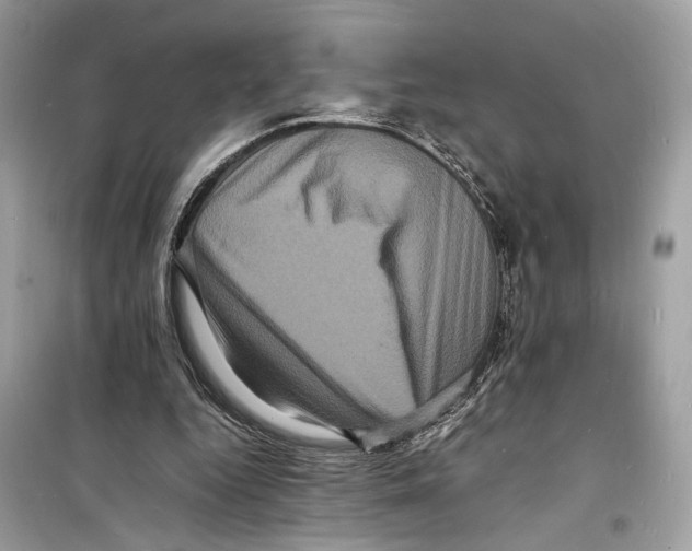 X0000098180344200805221543