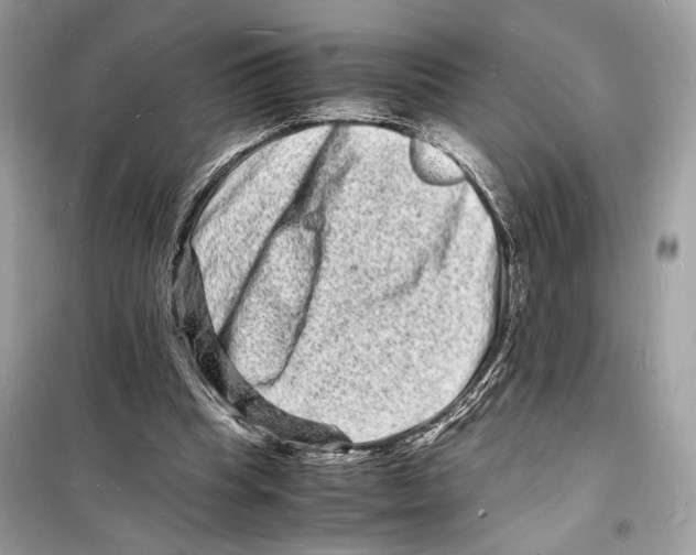 X0000098180345200805221543