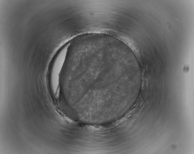 X0000098180346200805221543