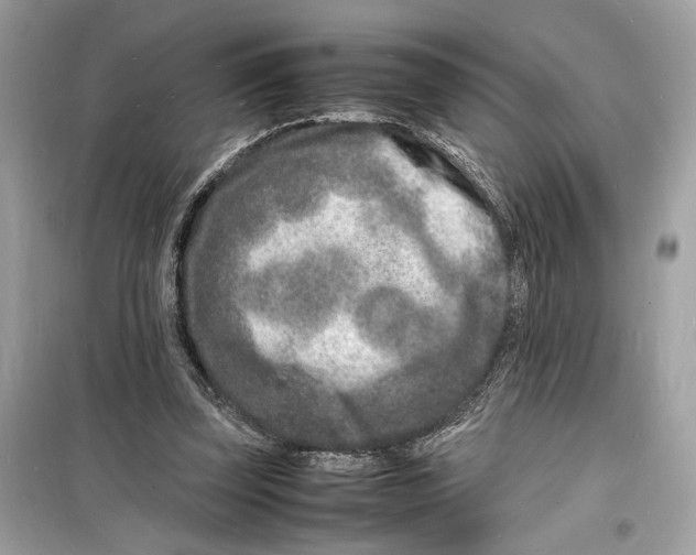 X0000098180347200805221543