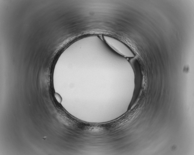 X0000098180348200805221543