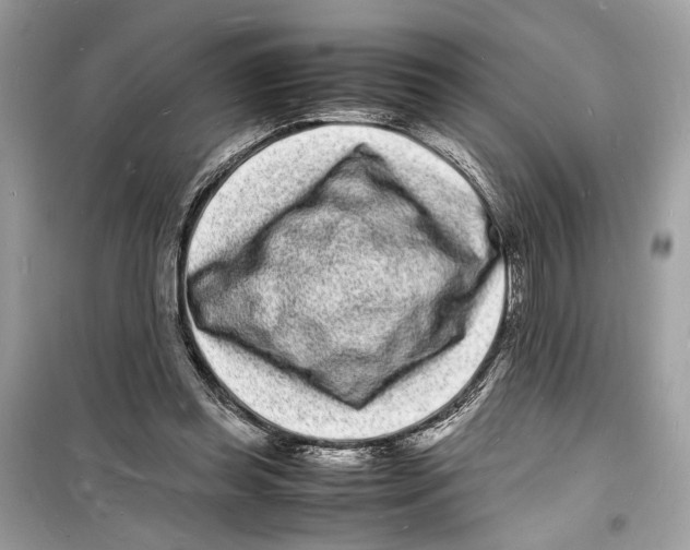 X0000098180349200805221543