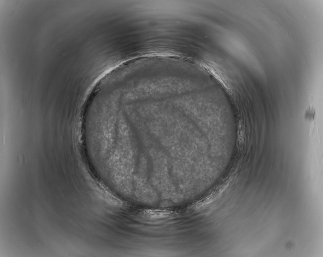 X0000098180351200805221543