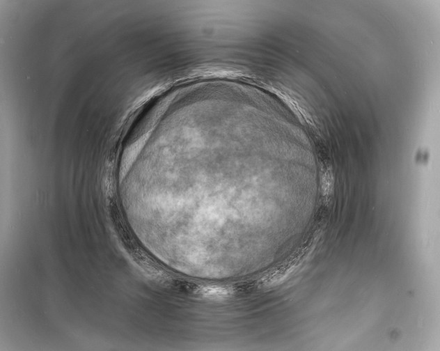 X0000098180352200805221543