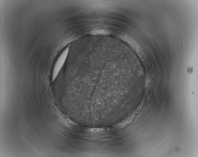 X0000098180353200805221543