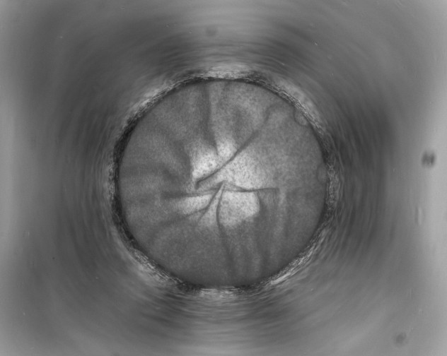 X0000098180354200805221543