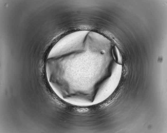 X0000098180355200805221543