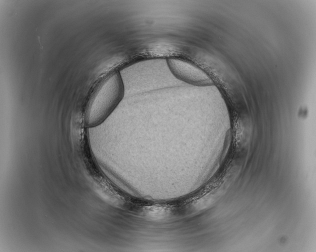 X0000098180356200805221543