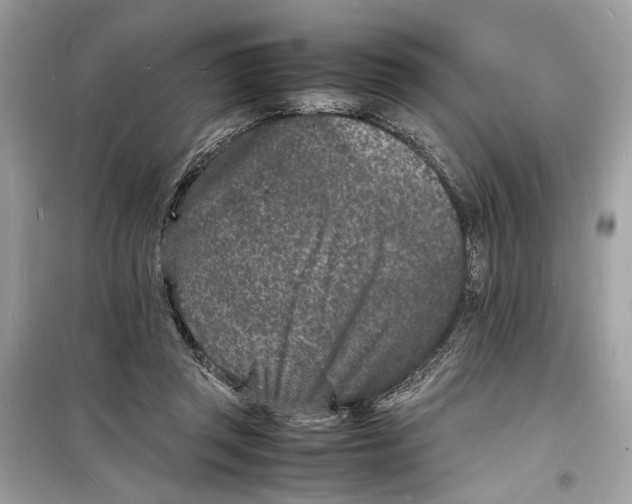 X0000098180357200805221543