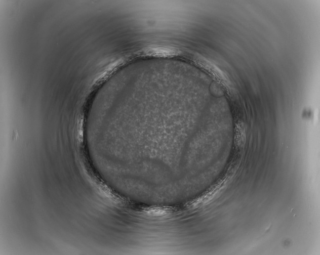 X0000098180358200805221543