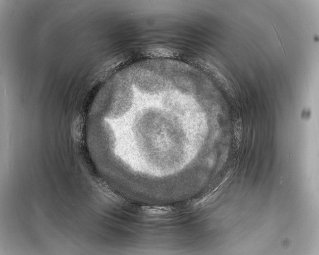 X0000098180359200805221543