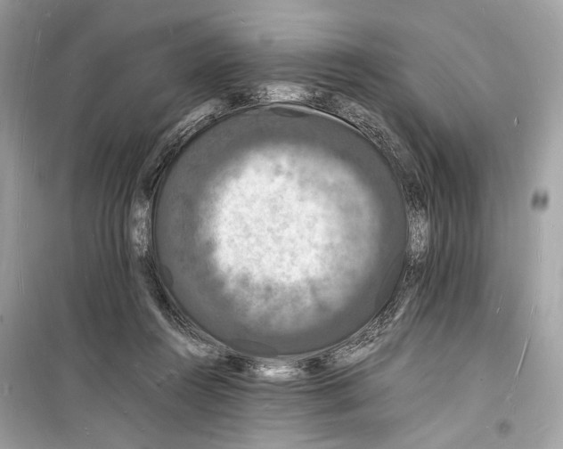 X0000098180360200805221543