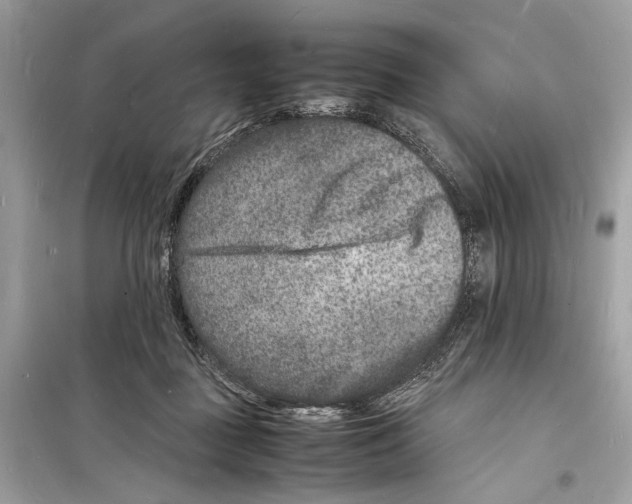 X0000098180363200805221543