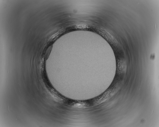 X0000098180364200805221543