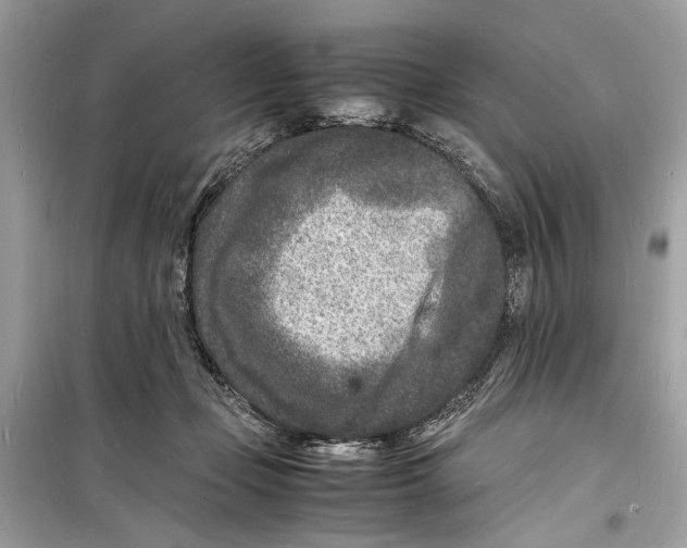 X0000098180365200805221543