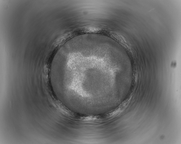 X0000098180366200805221543