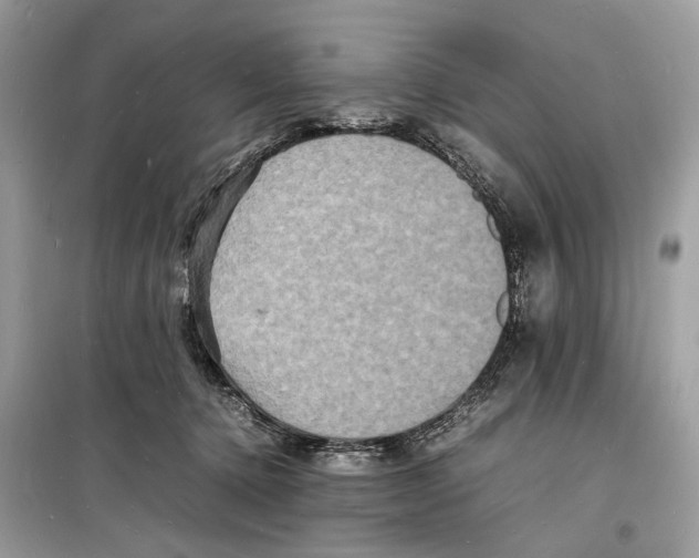 X0000098180368200805221543