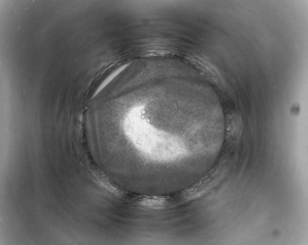 X0000098180369200805221543