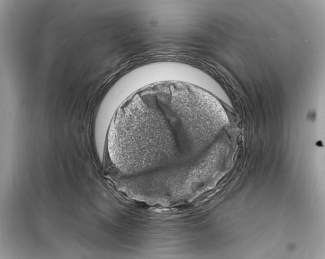 X0000098180372200805221543