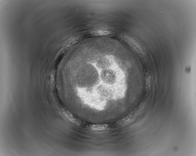 X0000098180373200805221543