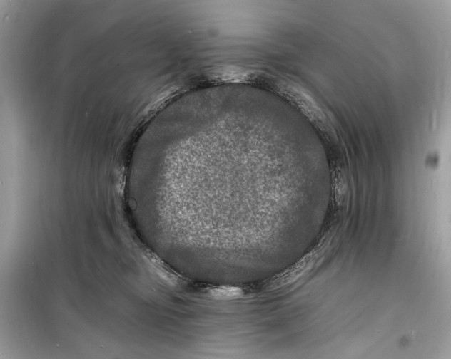 X0000098180374200805221543