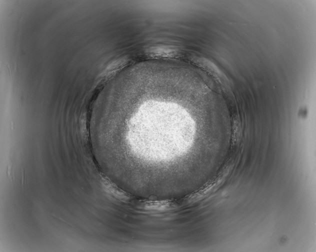 X0000098180377200805221543