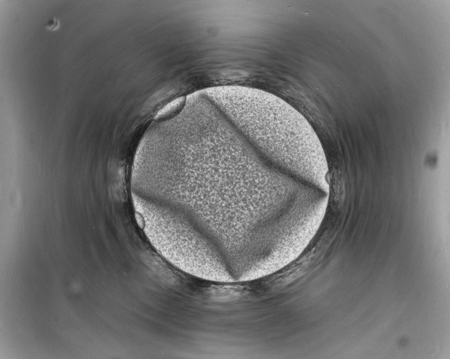 X0000098180378200805221543