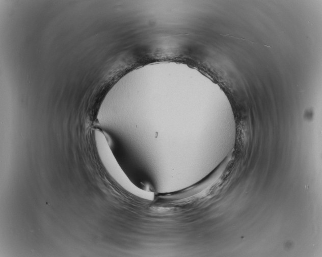 X0000098180380200805221543